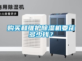 企業手机看片AV短片購買和維護91看片在线下载機要花多少錢？