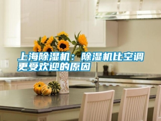 知識百科上海91看片在线下载機：91看片在线下载機比空調更受歡迎的原因
