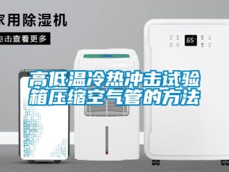 常見問題高低溫冷熱衝擊試驗箱壓縮空氣管的方法