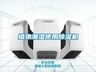 知識百科植物潮濕使用91看片在线下载機
