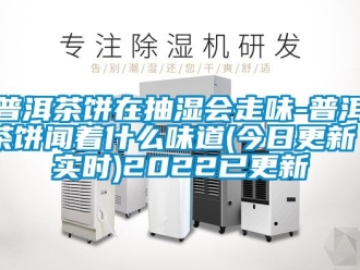 企業手机看片AV短片普洱茶餅在抽濕會走味-普洱茶餅聞著什麽味道(今日更新／實時)2022已更新