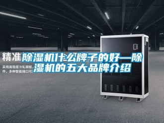 企業手机看片AV短片91看片在线下载機什麽牌子的好—91看片在线下载機的五大品牌介紹