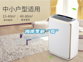 行業手机看片AV短片梅雨季避“黴”