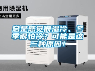 知識百科總是感覺很濕冷、冬季很怕冷？可能是這三種原因！