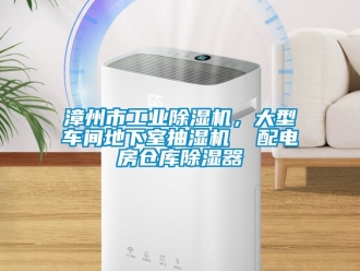 常見問題漳州市工業91看片在线下载機，大型車間地下室抽濕機  配電房倉庫91看片在线下载器