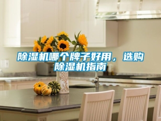 行業手机看片AV短片91看片在线下载機哪個牌子好用，選購91看片在线下载機指南