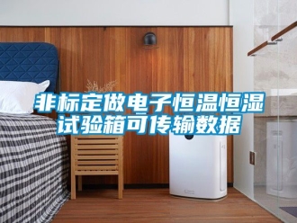 知識百科非標定做電子恒溫恒濕試驗箱可傳輸數據