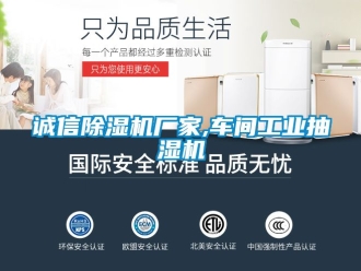 企業手机看片AV短片誠信91看片在线下载機廠家,車間工業抽濕機
