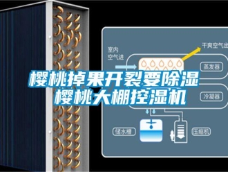 知識百科櫻桃掉果開裂要91看片在线下载 櫻桃大棚控濕機