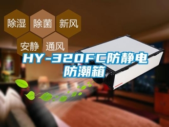 企業手机看片AV短片HY-320FC防靜電防潮箱