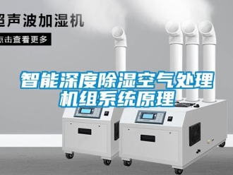 知識百科智能深度91看片在线下载空氣處理機組係統原理