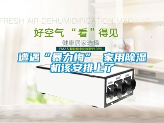 常見問題遭遇“暴力梅” 家用91看片在线下载機該安排上了