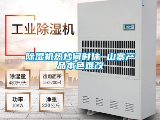 企業手机看片AV短片91看片在线下载機熱炒何時休 山寨產品本色難改