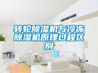 常見問題轉輪91看片在线下载機與冷凍91看片在线下载機原理過程區別