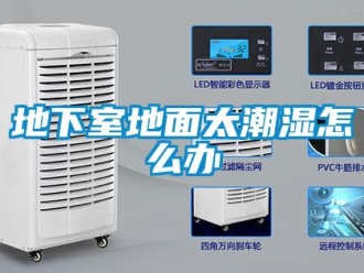 常見問題地下室地麵太潮濕怎麽辦