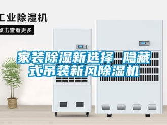行業手机看片AV短片家裝91看片在线下载新選擇 隱藏式吊裝新風91看片在线下载機