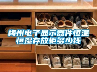 知識百科梅州電子顯示器件恒溫恒濕存放櫃多少錢
