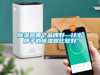 行業手机看片AV短片91看片在线下载器哪個品牌好—什麽牌子的91看片在线下载器比較好