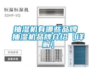 企業手机看片AV短片抽濕機有哪些品牌 抽濕機品牌介紹【詳解】