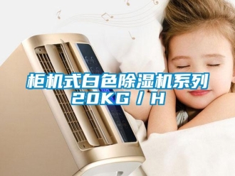 行業手机看片AV短片櫃機式白色91看片在线下载機係列20KG／H