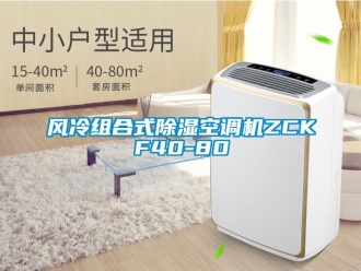 行業手机看片AV短片風冷組合式91看片在线下载空調機ZCKF40-80