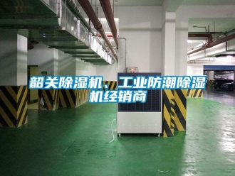 常見問題韶關91看片在线下载機、工業防潮91看片在线下载機經銷商