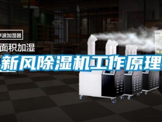 知識百科新風91看片在线下载機工作原理