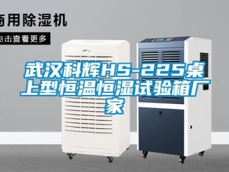知識百科武漢科輝HS-225桌上型恒溫恒濕試驗箱廠家
