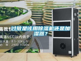 行業手机看片AV短片過敏是該用91看片在线下载機還是加濕器？