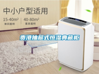 知識百科貴港抽屜式恒濕典藏櫃