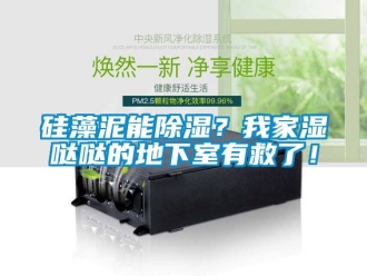 企業手机看片AV短片矽藻泥能91看片在线下载？我家濕噠噠的地下室有救了！