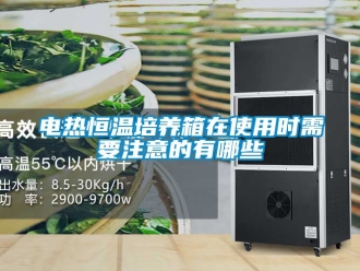 知識百科電熱恒溫培養箱在使用時需要注意的有哪些