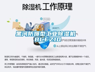 企業手机看片AV短片黑河防爆型工業91看片在线下载機 BCFZ10
