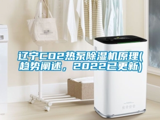 行業手机看片AV短片遼寧CO2熱泵91看片在线下载機原理(趨勢闡述，2022已更新)