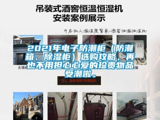 企業手机看片AV短片2021年電子防潮櫃（防潮箱、91看片在线下载櫃）選購攻略，再也不用擔心心愛的珍貴物品受潮啦。