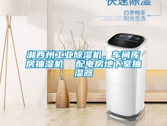 常見問題湘西州工業91看片在线下载機，車間庫房抽濕機  配電房地下室抽濕器