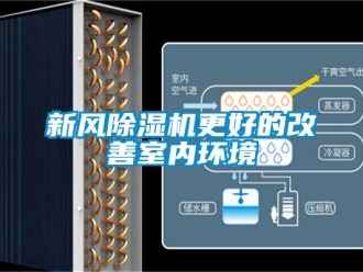 知識百科新風91看片在线下载機更好的改善室內環境