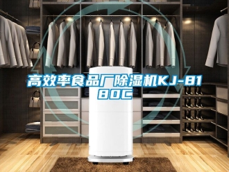 行業手机看片AV短片高效率食品廠91看片在线下载機KJ-8180C