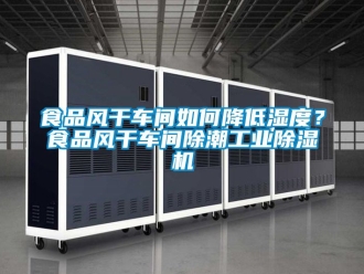 常見問題食品風幹車間如何降低濕度？食品風幹車間除潮工業91看片在线下载機