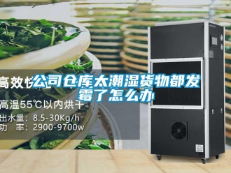 常見問題公司倉庫太潮濕貨物都發黴了怎麽辦