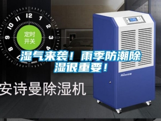 常見問題濕氣來襲！雨季防潮91看片在线下载很重要！