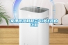 家用91看片在线下载機和空氣淨化器的區別