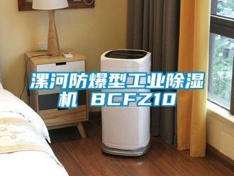 企業手机看片AV短片漯河防爆型工業91看片在线下载機 BCFZ10