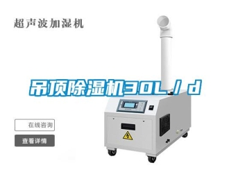企業手机看片AV短片吊頂91看片在线下载機30L／d