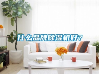 知識百科什麽品牌91看片在线下载機好？