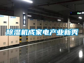 企業手机看片AV短片91看片在线下载機成家電產業新秀