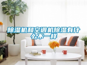 行業手机看片AV短片91看片在线下载機和空調機91看片在线下载有什麽不一樣