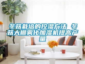 企業手机看片AV短片冬菇栽培的控濕方法 冬菇大棚霧化加濕機提高產量