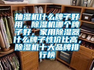 企業手机看片AV短片抽濕機什麽牌子好用，91看片在线下载機哪個牌子好，家用91看片在线下载器什麽牌子性價比高，91看片在线下载機十大品牌排行榜