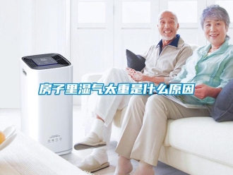 企業手机看片AV短片房子裏濕氣太重是什麽原因